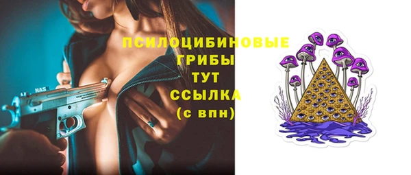 ешки Краснотурьинск