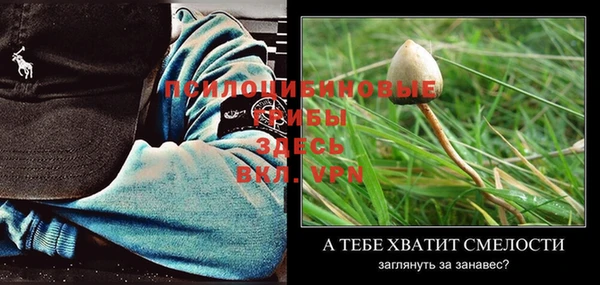 ешки Краснотурьинск