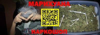 шишки Будённовск